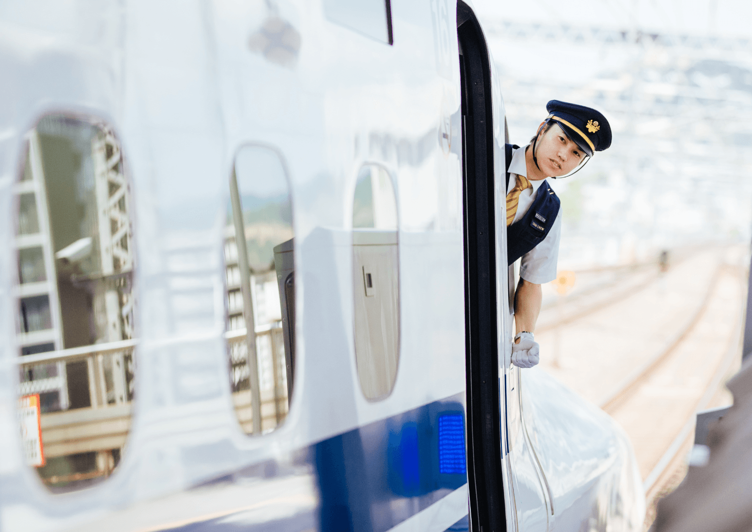 Article Mobile Cover