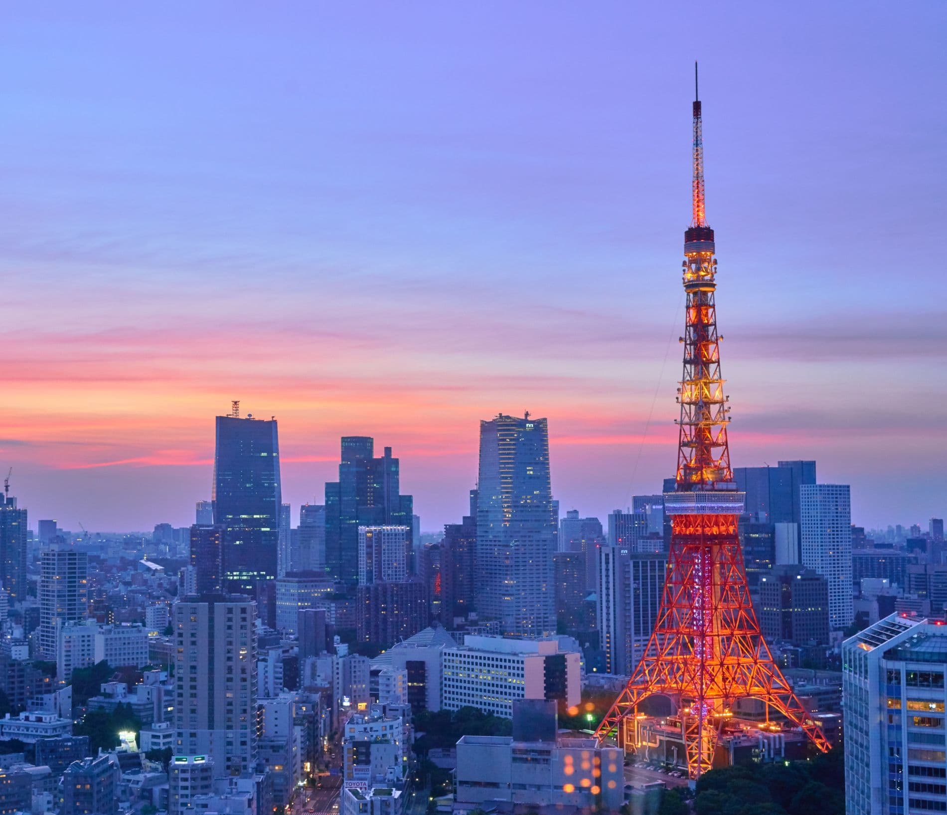 Article Mobile Cover