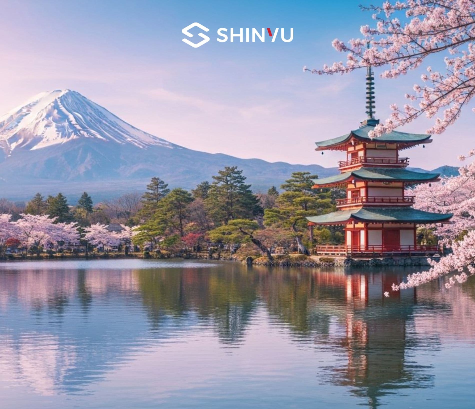 Article Mobile Cover